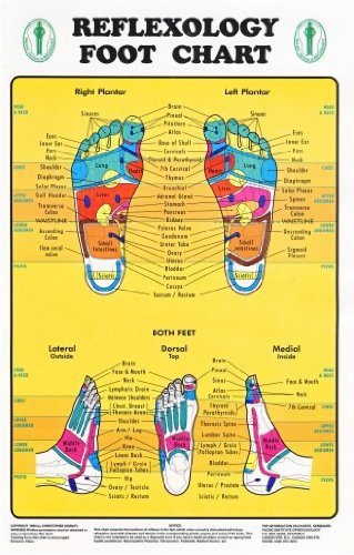 Relaxus Reflexology Foot Chart