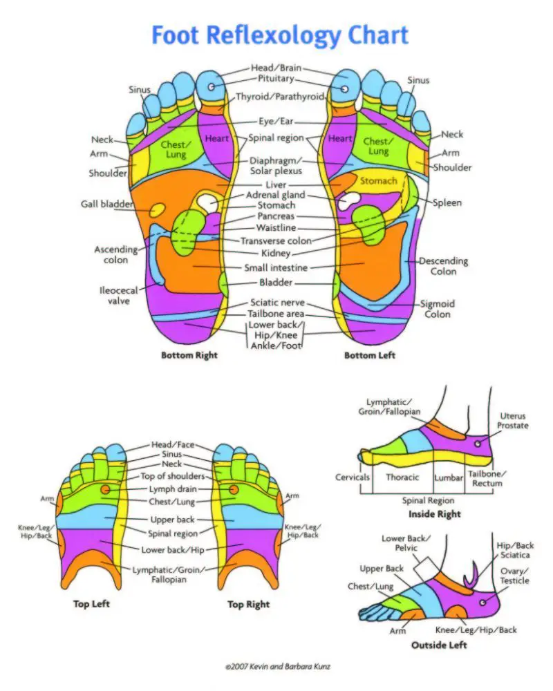 foot-reflexology-chart